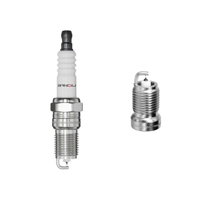 Platinum svjećica ptr6d -13 5598